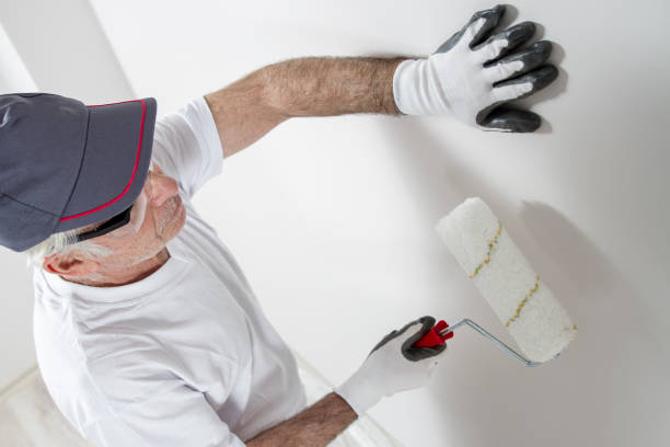 Best Industrial Mold Remediation  in Carrollton, IL