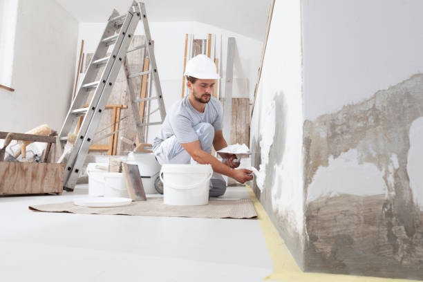 Best Biohazard Mold Removal  in Carrollton, IL