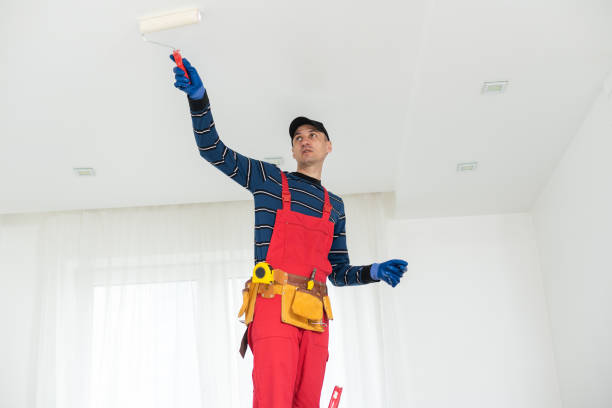 Best Dehumidification Services  in Carrollton, IL