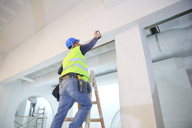 Best Residential Mold Inspection & Testing  in Carrollton, IL
