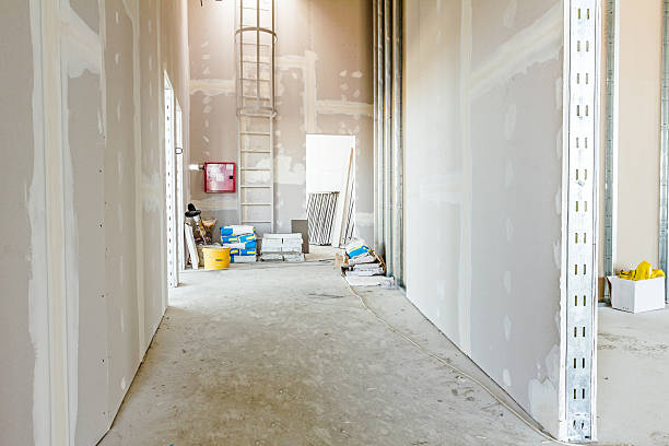Best Real Estate Mold Inspection  in Carrollton, IL