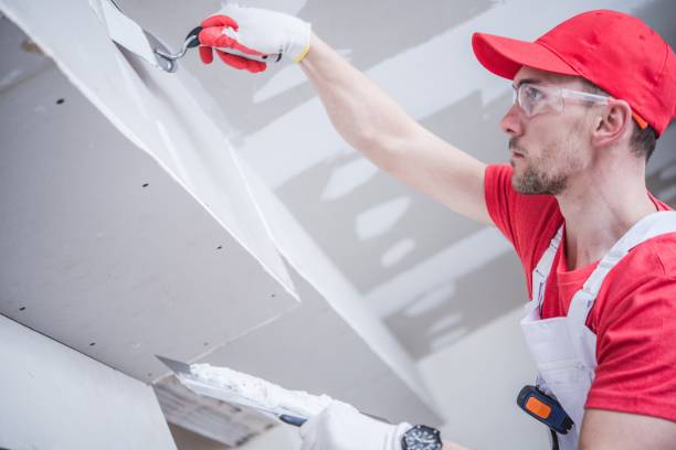 Best Crawl Space Mold Remediation  in Carrollton, IL